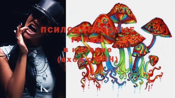 экстази Белокуриха