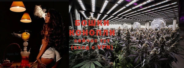 экстази Белокуриха