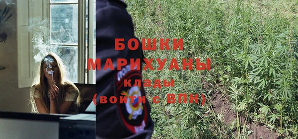 сатива Белоозёрский