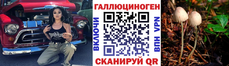как найти наркотики  Гремячинск  Псилоцибиновые грибы Psilocybine cubensis 
