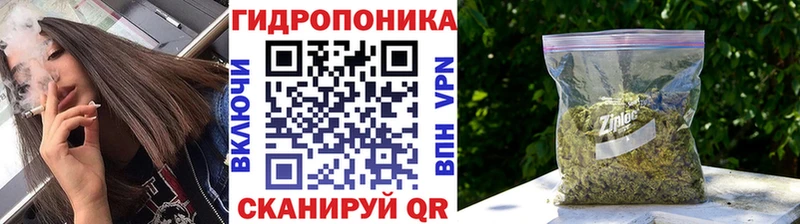 МЕГА tor  как найти закладки  Гремячинск  Каннабис марихуана 